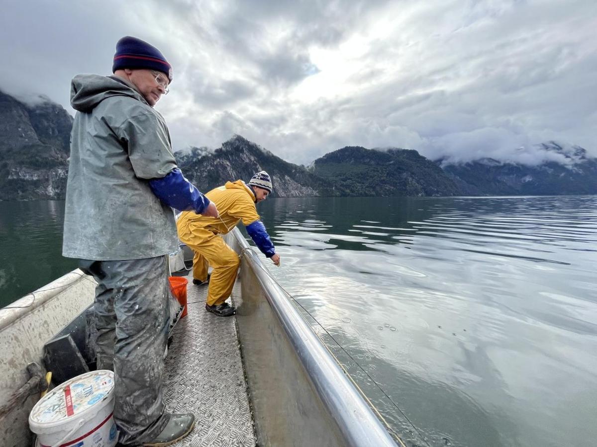 Das Traunsee Траункирхен Экстерьер фото